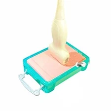 ultrasound vascular access phantom training model-REQUIRES FLUID (water)