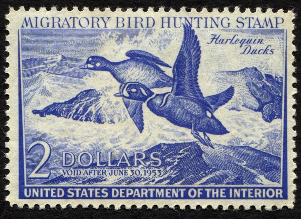 RW19 VF MLH 1952 US Federal Migratory Waterfowl Duck Stamp Harlequins - Image 2 of 3