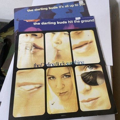 THE DARLING BUDS  12  Singles   Sure Thing   It s All Up To You   Hit The Ground