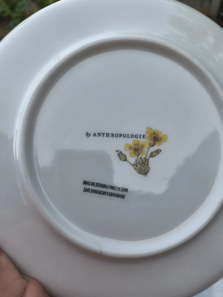 3 件套 Anthropologie 兰花植物珊瑚蜂鸟甜点盘 — 第 3/4 张图片