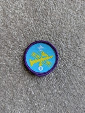 Musician Level 3 Staged Scout Activity Badge Old Logo Brand New