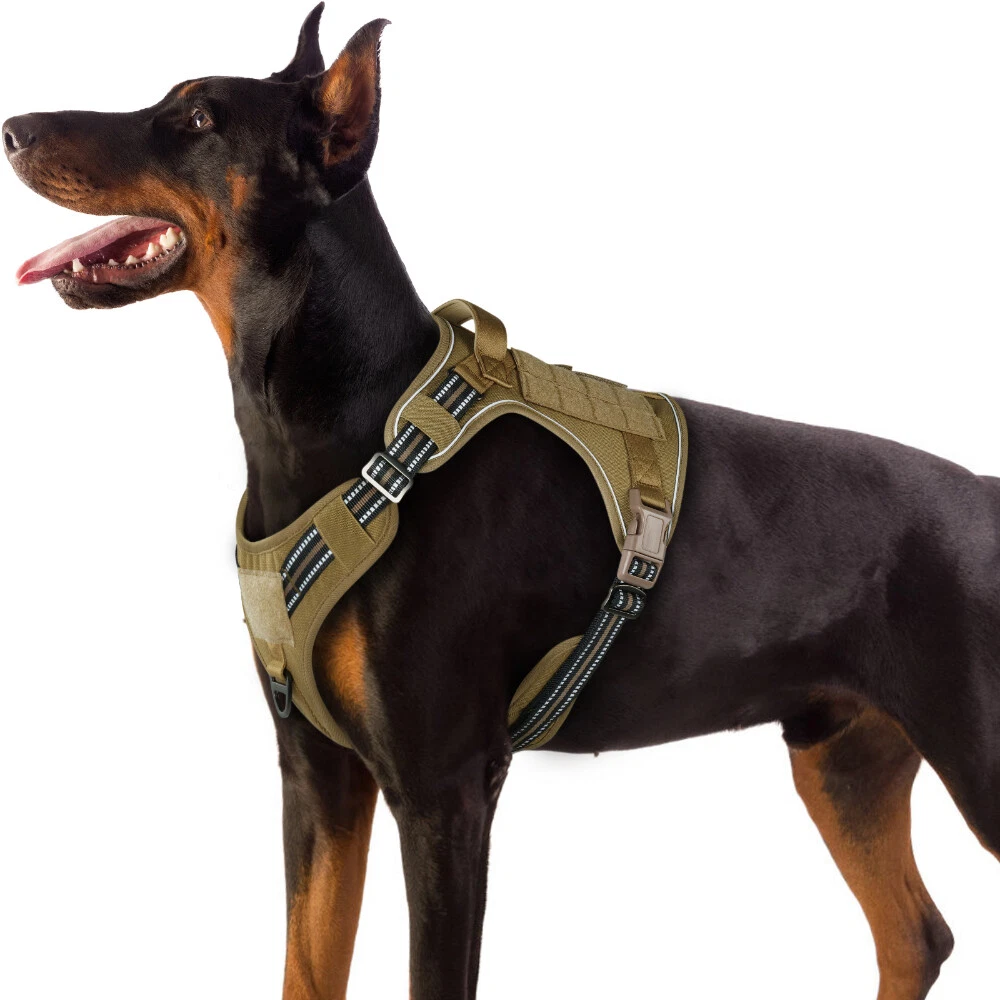 Diy no pull dog harness top
