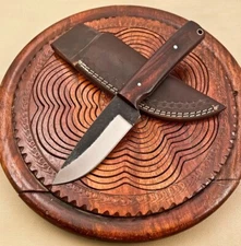 9” Custom Hand forged High Carbon 1095 Steel Hunting Knife wood Handle Full Tang