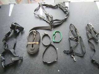 Various small dog/puppy harnesses lead collars and muzzles