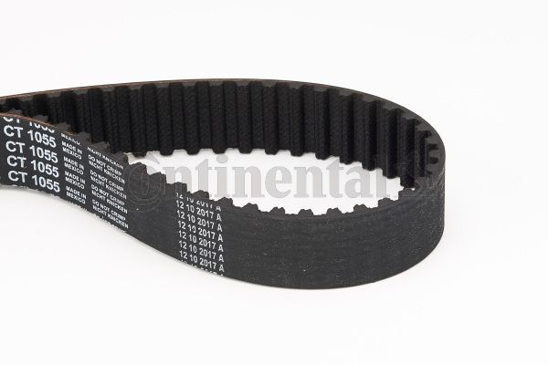 CONTINENTAL CTAM Cinghia dentata  CT1055
