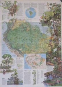 AMAZON RIVER BASIN Poster Map Tropical Rain Forest Animals Ecology Grasslands