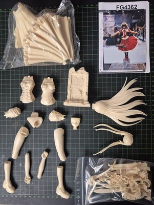 Dian Wei - Resin Model Kit - e2046 FG4362