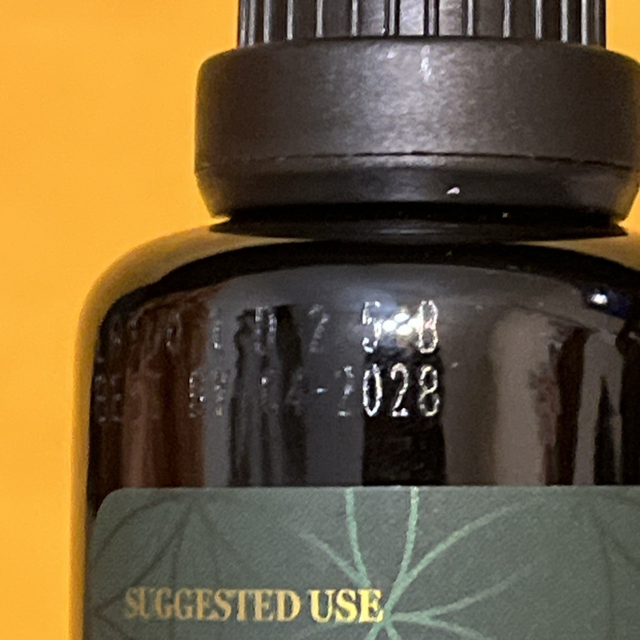 Global Healing USDA Organic Elderberry & Echinacea Liquid Supplement (2 Oz)