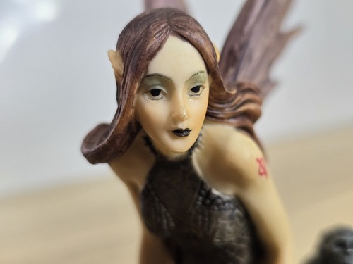 Amy Rose Fairy Figurine Gothic Fairy Ornament 5.5" Collectable. David Gough 2007 - Picture 7 of 11