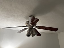 Ceiling Fan