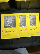 3x Strathmore 300 Series Charcoal Pad White, 9"x12", 32 Sheets, Read Description