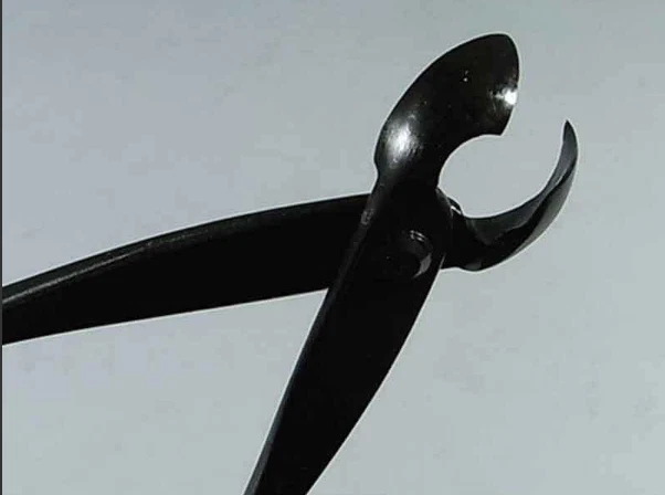 Kaneshin No.4 Herramienta Bonsai Artesanal Cortador de Ramas Cóncavo Grande Hecho en Japón Foto 4 de 4