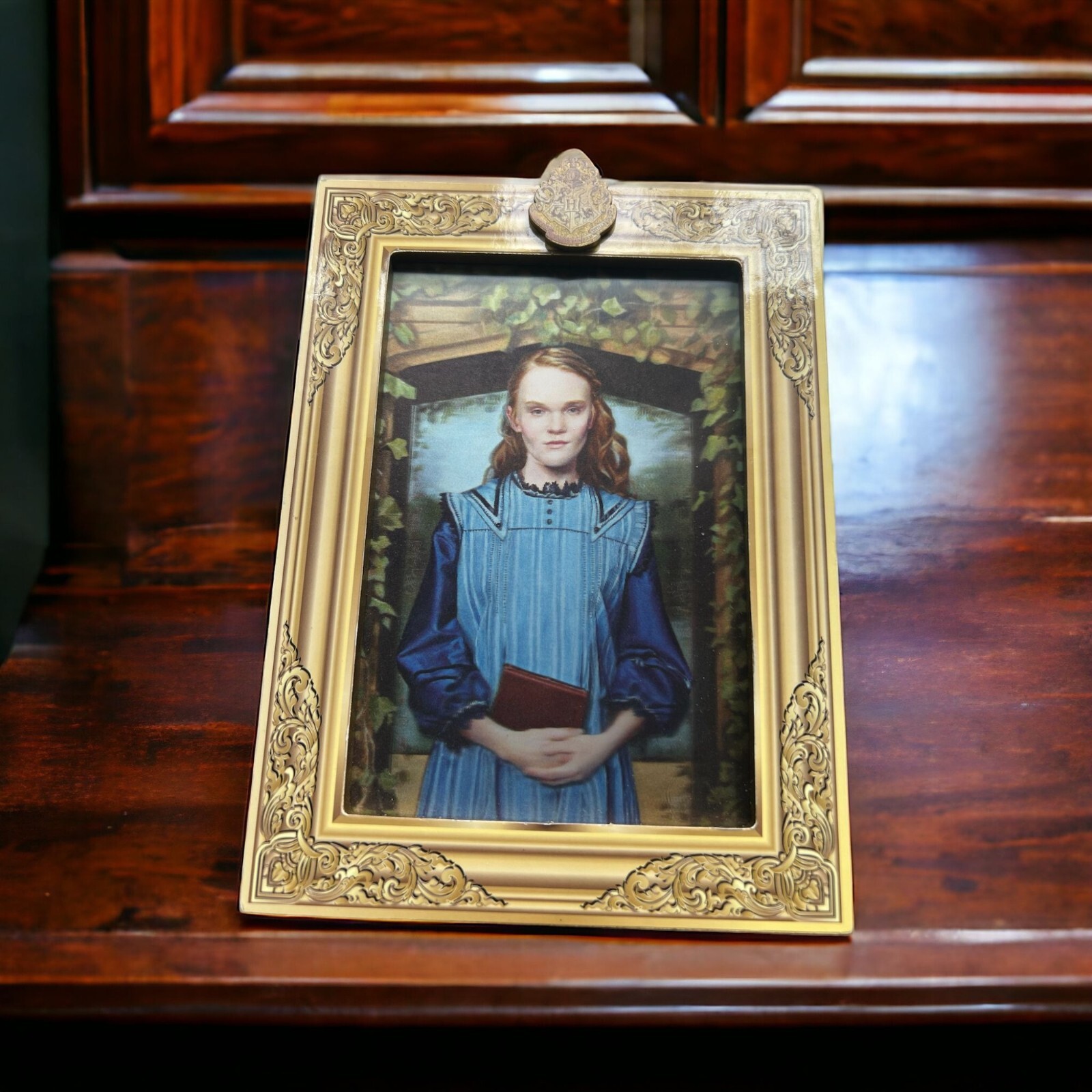 Harry Potter Arian Dumbledore Secret Compartment Picture Frame 2017 ...