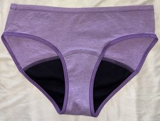 Hanes Teen Period Panty Sz 16 Cotton High Waist Panty Underwear Bikini