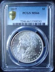 1897 Morgan Silver Dollar - PCGS MS 66 - Gold Shield