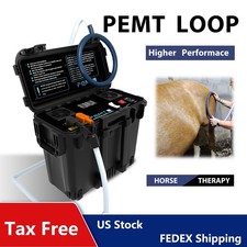 Pemf Electromagnetic Field Therapy Pemt Loop Body Pain Relief Therapy Machine