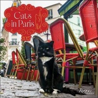 Cats In Paris 2027 Wall Calendar (Presale 22.09.2026)