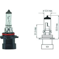 Hb4A [9006Xs] 12V 51W P22D Hb4A GlüHlampe Halogen
