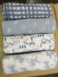 aden and anais waverly