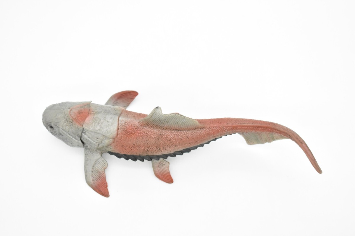 Dunkleosteus, Prehistoric Fish, Dinosaur, Realistic Model, Hand