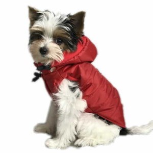 ebay dog jackets