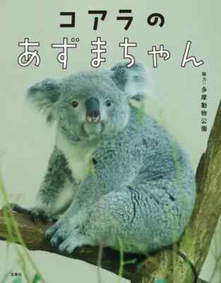 Koala Azuma-chan Photo Collection Book From Japan | eBay