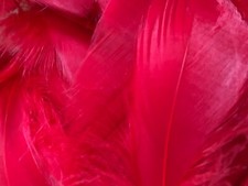 100 Solid Coloured Feathers - Mixed Sizes - Art, Craft, Bubble Balloon - Feather