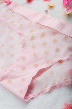 Victoria's Secret Sheer Heritage Shimmer Hiphugger Panty Medium Pink NWT