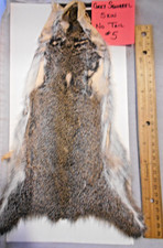 Gray Squirrel Pelts for Fly Tying - No Tails