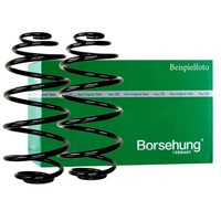 2X Borsehung Fahrwerksfeder Hinten FüR Skoda Octavia II VW Beetle Golf VI Jetta