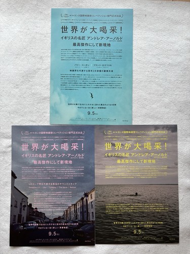 SET PÁJARO 2025 Película Chirashi mini póster de Japón Andrea Arnold Nykiya Adams - Imagen 2 de 2