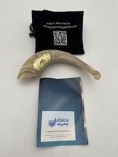 KOSHER ODORLESS NATURAL SHOFAR GENUINE RAMS HORN, MADE IN ISRAEL