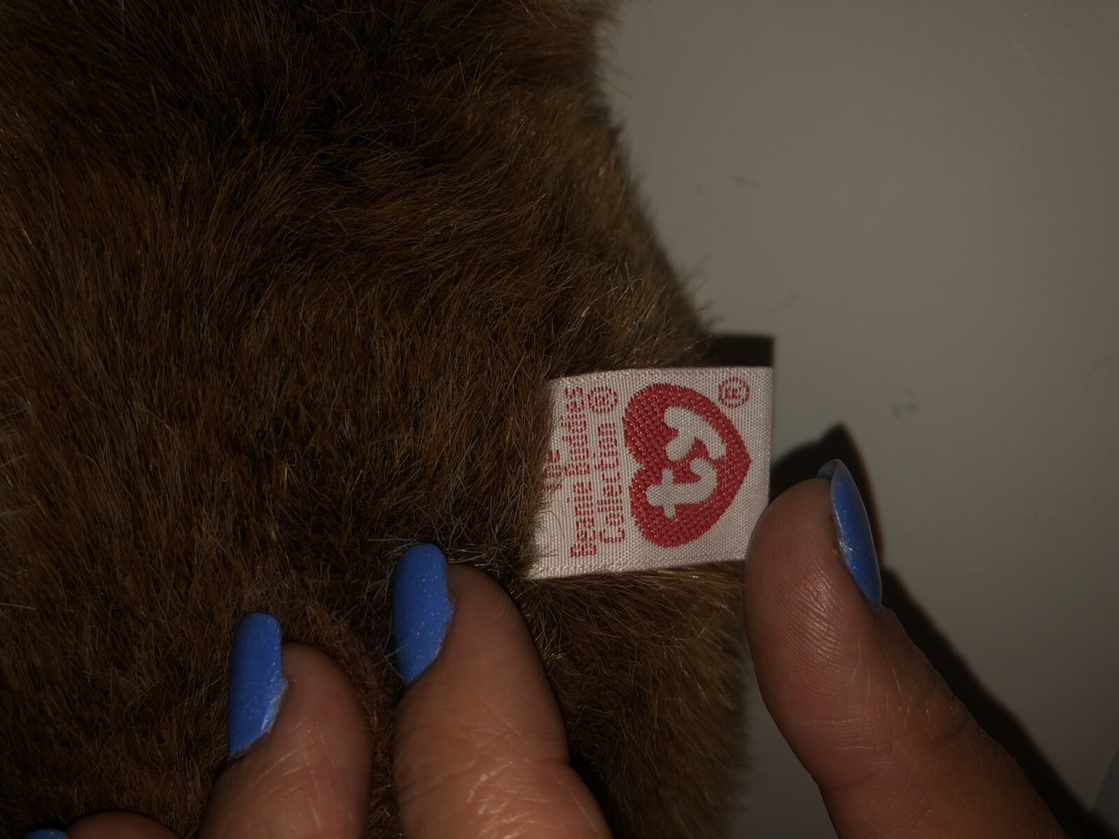 Bild 6 von 8