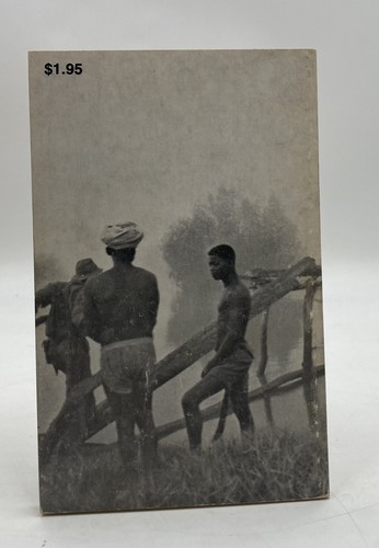 Amilcar Cabral Return to the Source Selected Speeches 1973 AIS Softcover - Imagen 6 de 8