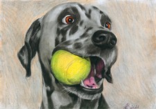 original drawing A4 16AbJ artwork pastel modern realism Dalmatian dog