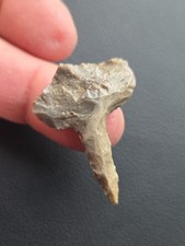 AUTHENTIC ARROWHEADS INDIANA DRILL INDIAN ARTIFACT STONE TOOL