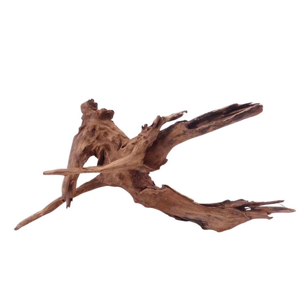 XL Driftwood Flußwurzel Radice Acquario 4907 Mangrovie Legno Deco Aquascaping