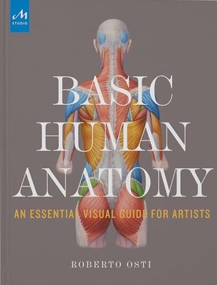 Grundlegende menschliche Anatomie: Eine wesentliche visuelle Anleitung für Künstler