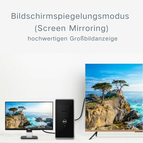 H17 DisplayPort auf VGA Kabel 1.8m Vergoldet 1080P DisplayPort DP Stecker zu VGA - 第 7/13 張圖片