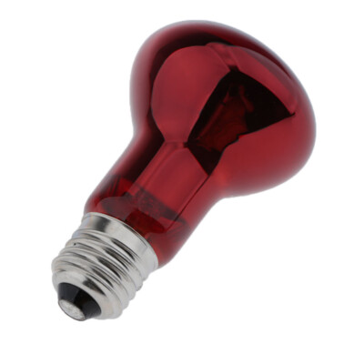 Reptile Heat Glühbirne Lampe für Terrarium Schildkröte Amphibie 220 240V 100W
