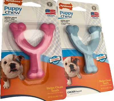 Mordedera Para Perro Cachorro NYLABONE PUPPY CHEW KEY TEETHING