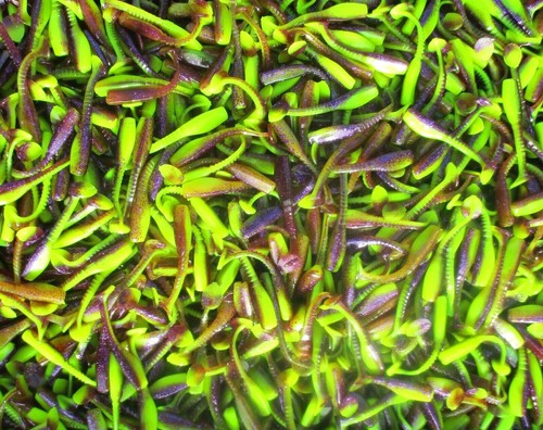 50 PURPLE CHARTREUSE MIX 2" Crappie SWIMBAITS Trout Bream Lures Panfish GRUBS - Picture 2 of 4