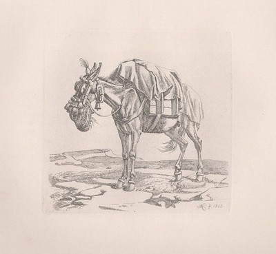 Maultier mule Esel donkey Johann Adam Klein Radierung etching - Jahn 260