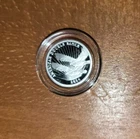 2024 .999 Silver American double eagle $2 Coin silver bullion excellent  cond.