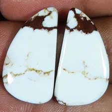 natural WILD HORSE pair cabochon loose gemstone 26.80 Carat. (13 x 25 x 03 mm)