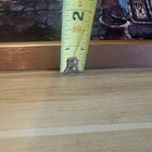 Bild 12 von 13