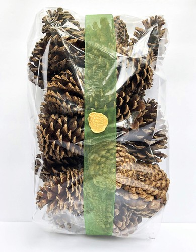 24 Pine Cones Natural Bug Free 3-4" Tall Home Accent Decor Crafting - Picture 7 of 7