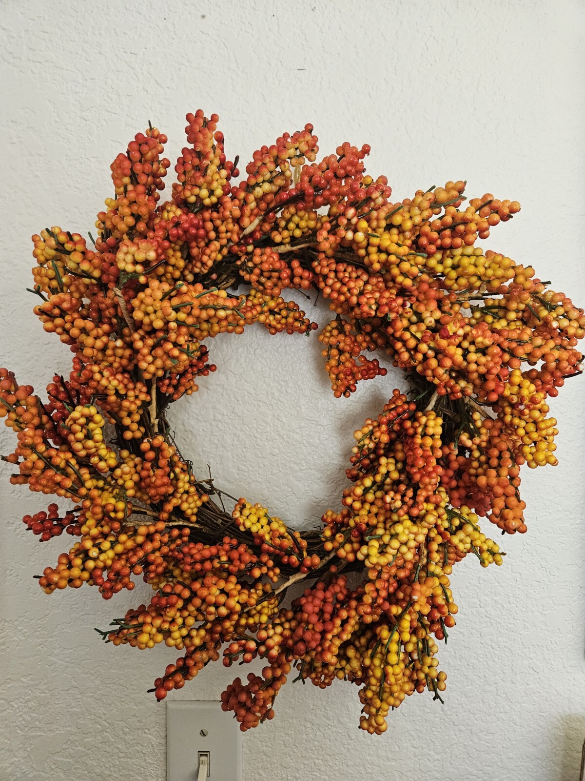 Fall Autumn Halloween Berries Grapevine Wreath Hanging Decor 17 Inch | eBay
