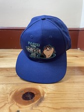 VTG 1998 Taz Looney Tunes Adjustable Hat Strapback Baseball Cap OSFA