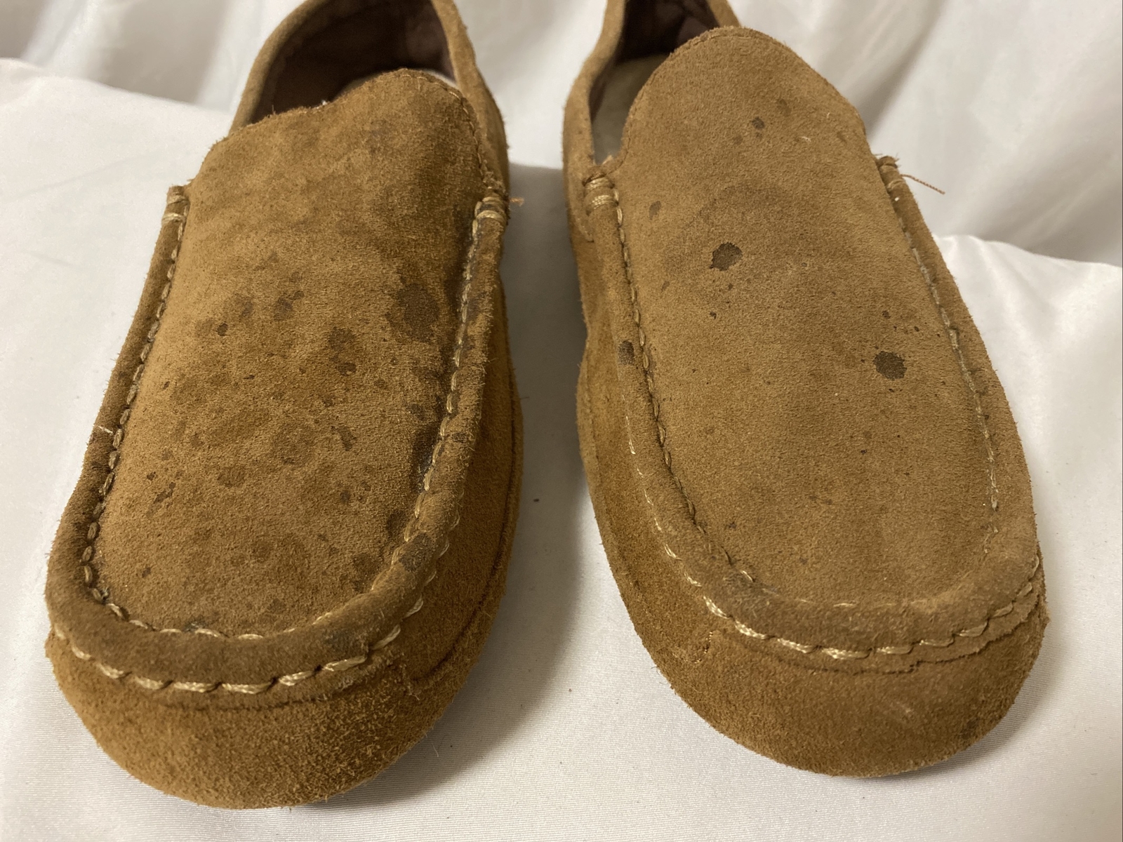 alder ugg